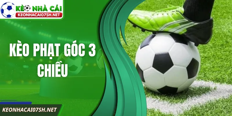 Kèo Phạt Góc 3 Chiều - Cách Chơi Dễ Hiểu Cho Người Mới 10 Kèo Phạt Góc 3 Chiều - Cách Chơi Dễ Hiểu Cho Người Mới