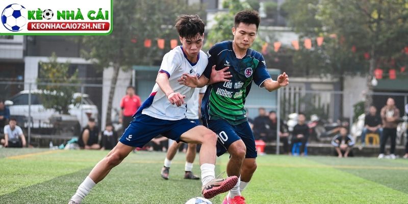 Trách nhiệm pháp lý